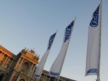 OSCE Flags in front of the Hofburg, Vienna.