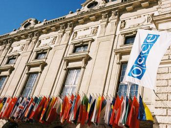 The OSCE flag with its 57 participating States flags next to the main gate outside of the Hofburg.